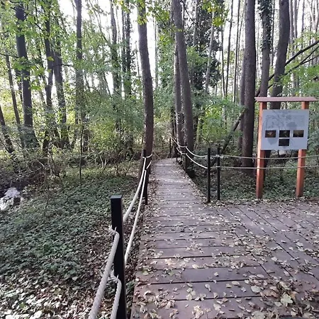 Semesterbostad Onix -